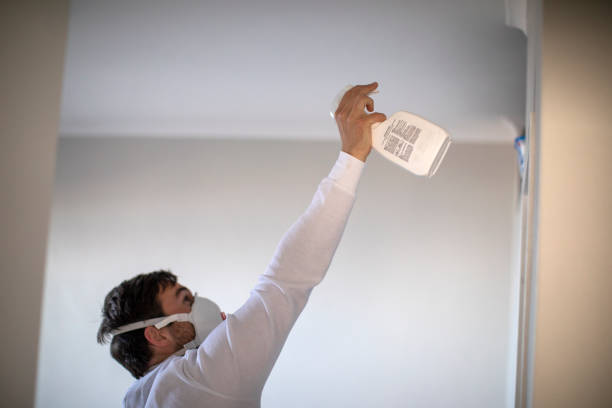 Best Black Mold Removal  in Fruitridge Pocket, CA