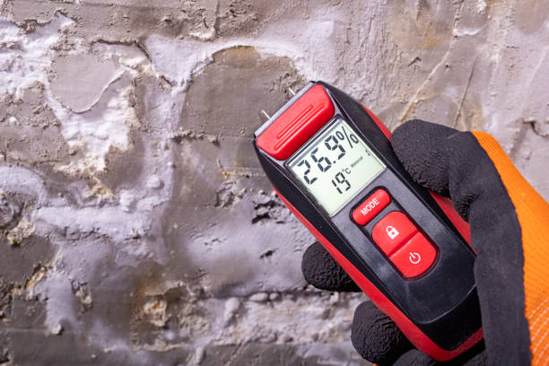 Best Professional Mold Removal  in Fruitridge Pocket, CA