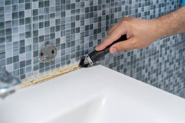 Best Local Mold Removal Service  in Fruitridge Pocket, CA
